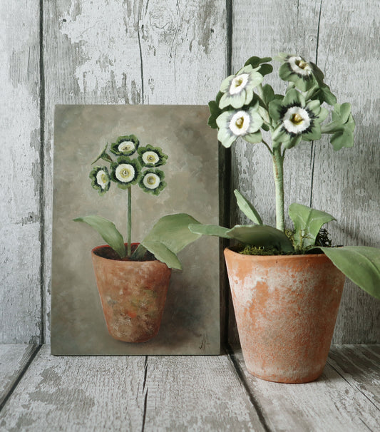 Original Oil Painting On Board From The Potted Floral Collection ' Auricula'