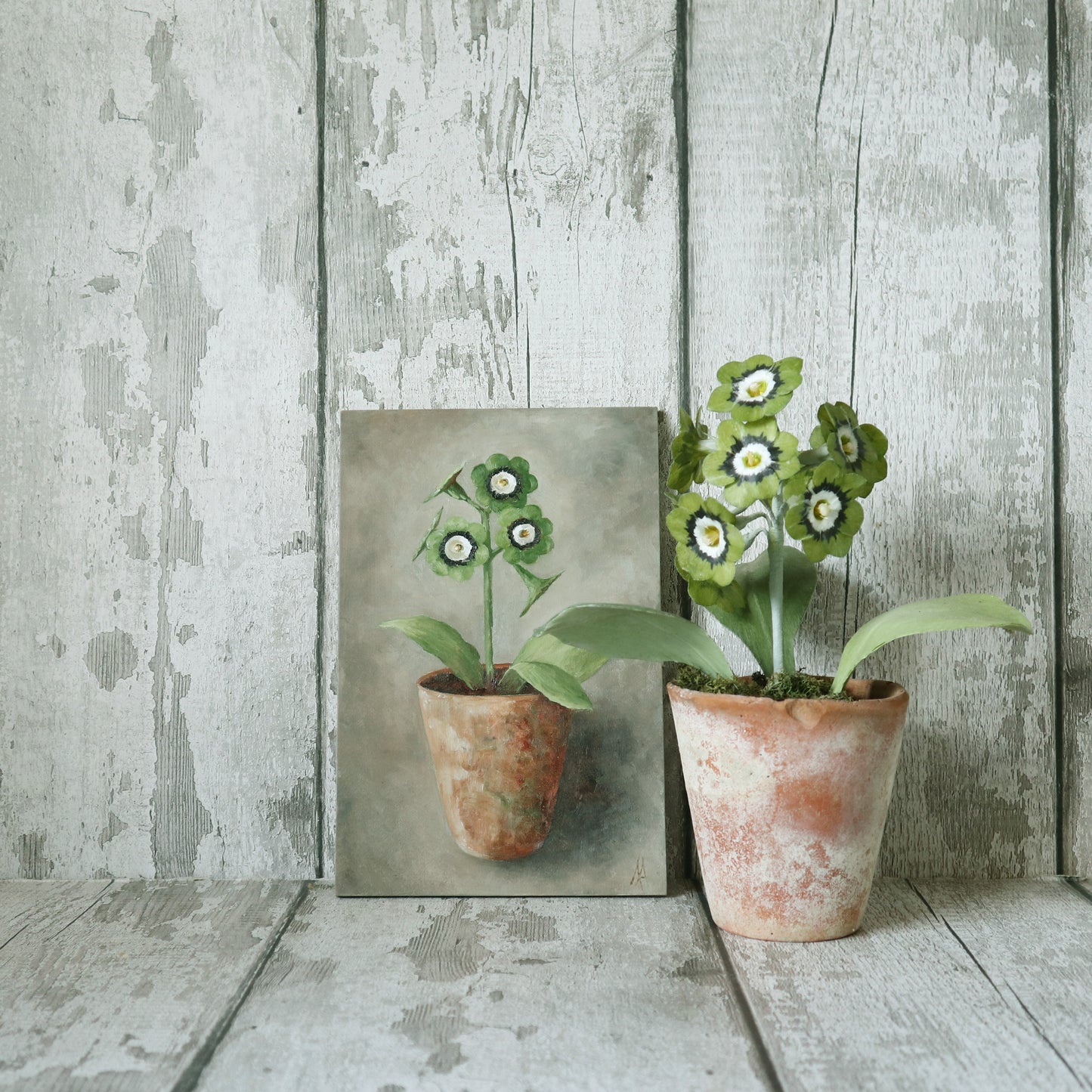 Original Oil Painting On Board From The Potted Floral Collection ' Auricula'