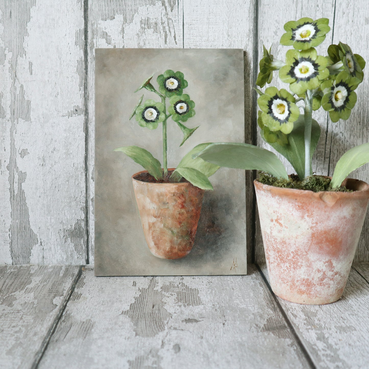 Original Oil Painting On Board From The Potted Floral Collection ' Auricula'