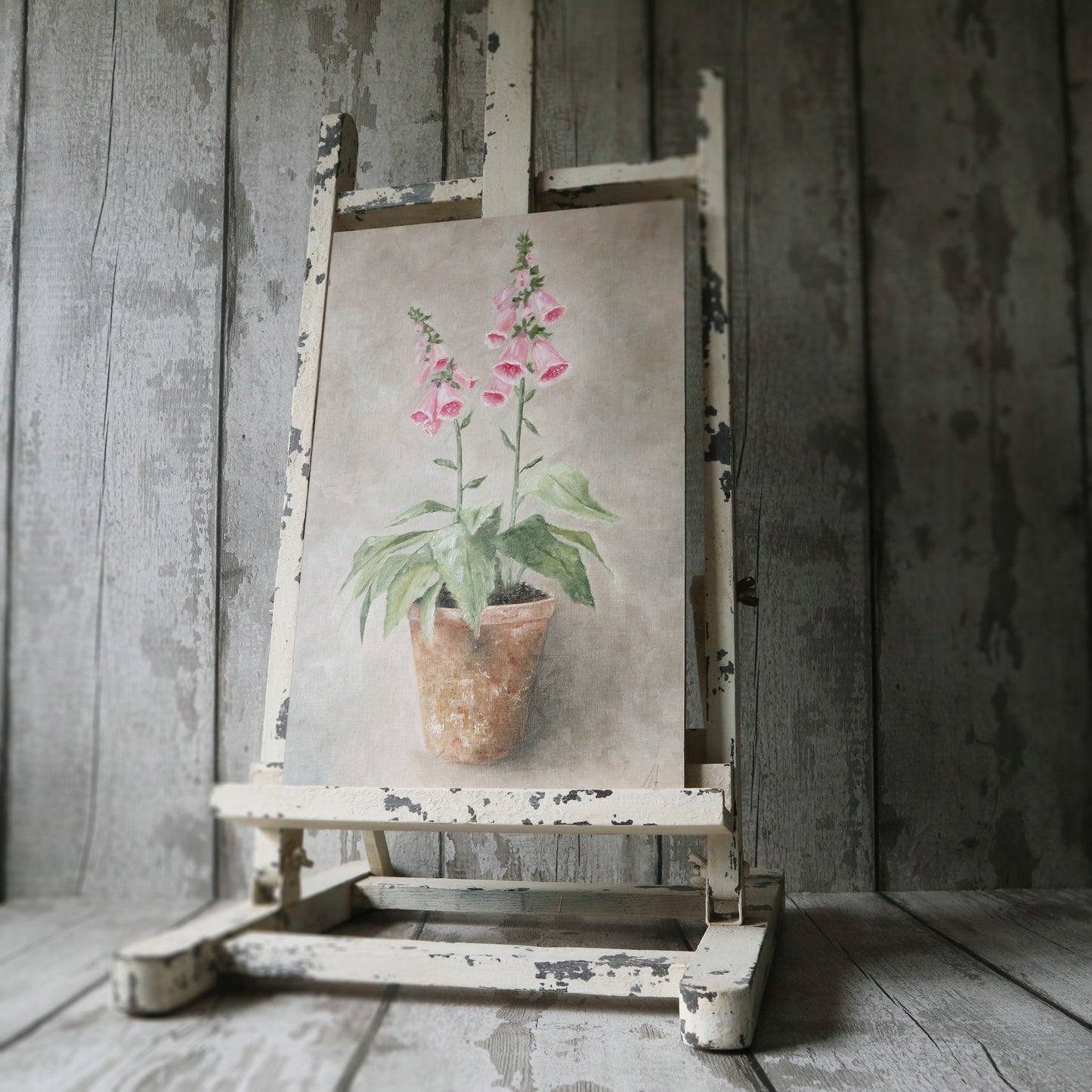 Original Oil Painting From the Potted Floral Collection 'Large Pink Foxglove'