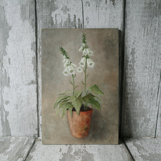 Original Oil Painting On Board From the Potted Floral Collection 'Mini WHITE Foxglove'