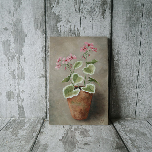 Original Oil Painting From The Potted Floral Collection 'Geranium'