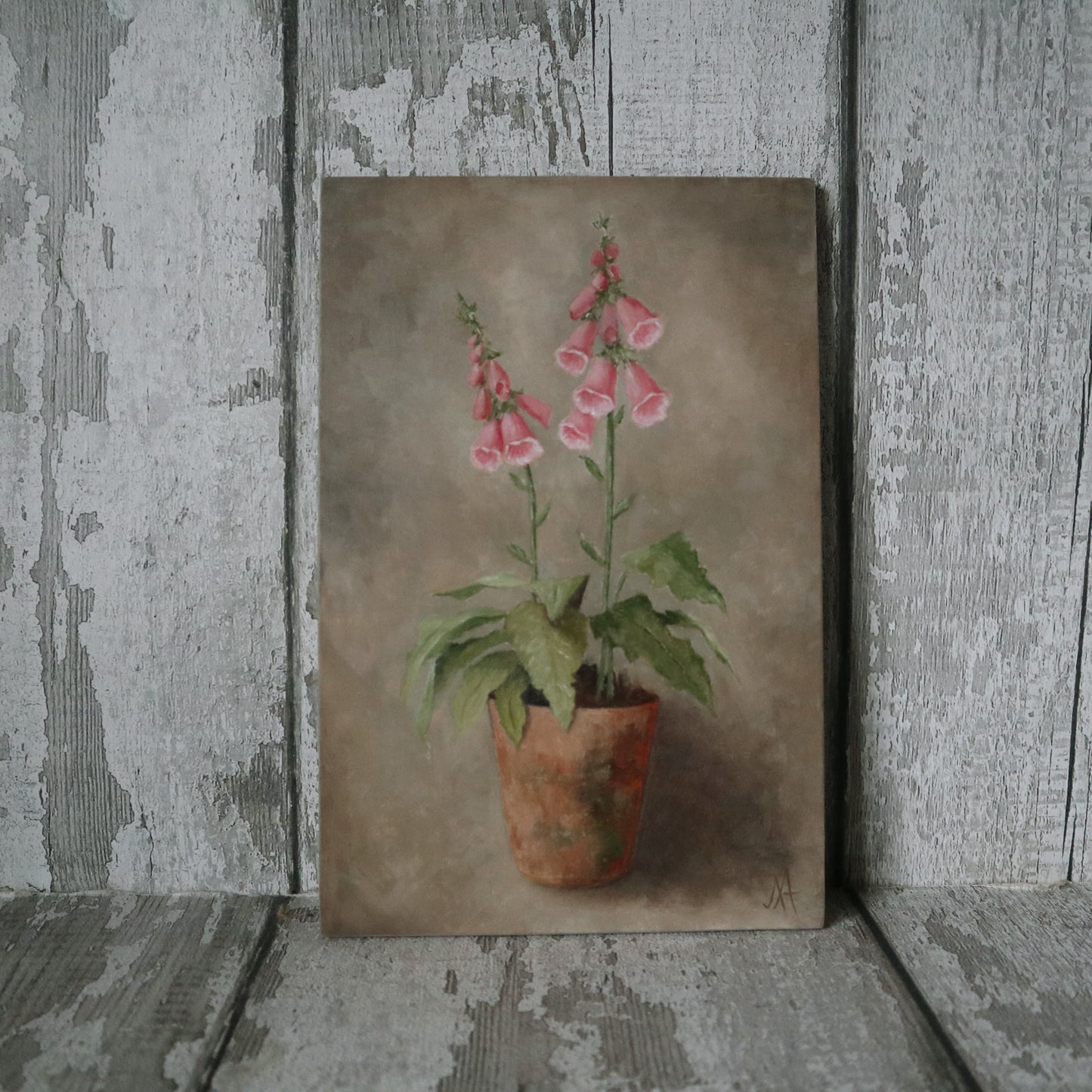 Original Oil Painting On Board From the Potted Floral Collection 'Mini PINK Foxglove'