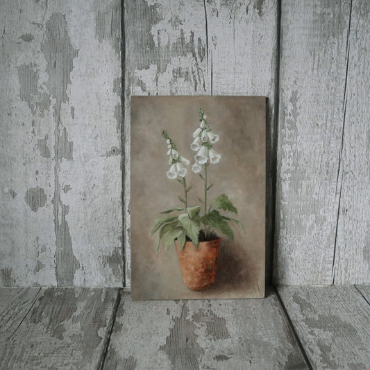 Original Oil Painting On Board From the Potted Floral Collection 'Mini WHITE Foxglove'