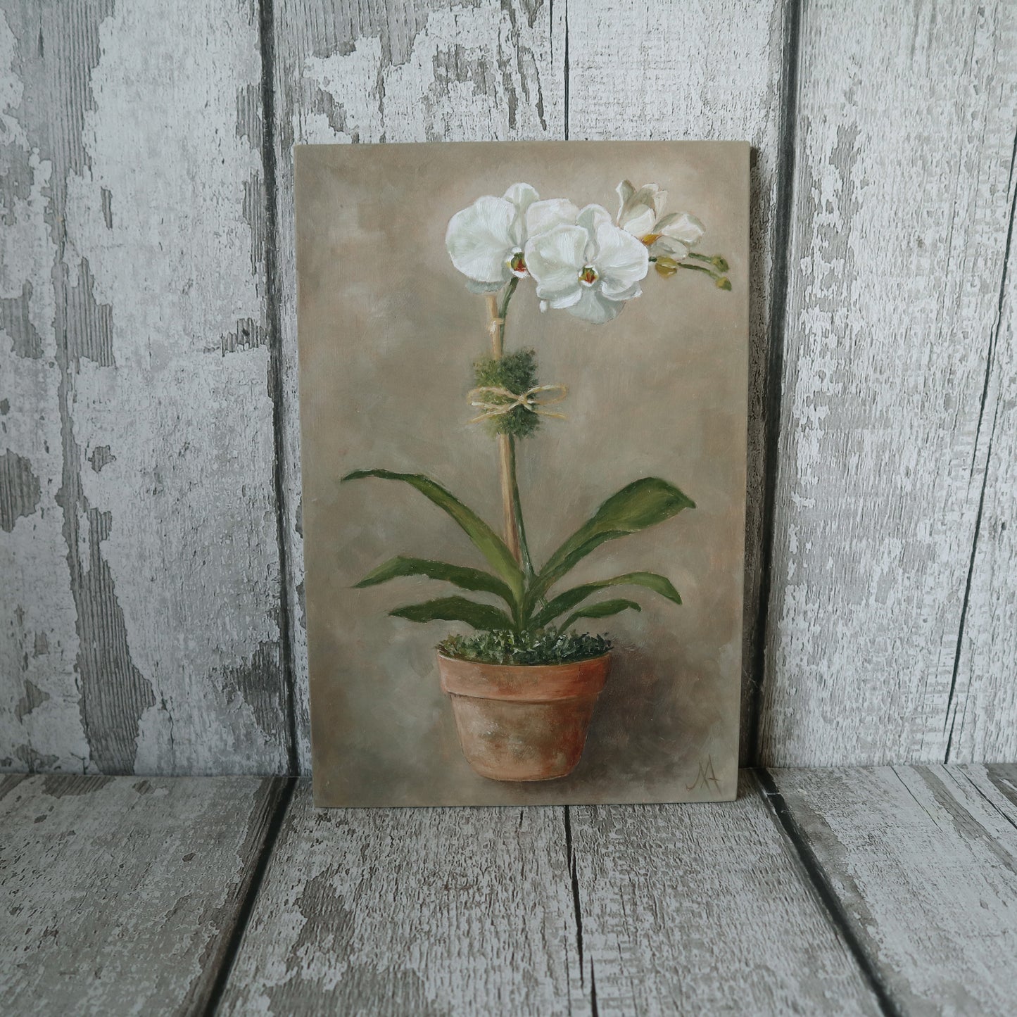 Original Oil Painting From The Potted Floral Collection 'Orchid'