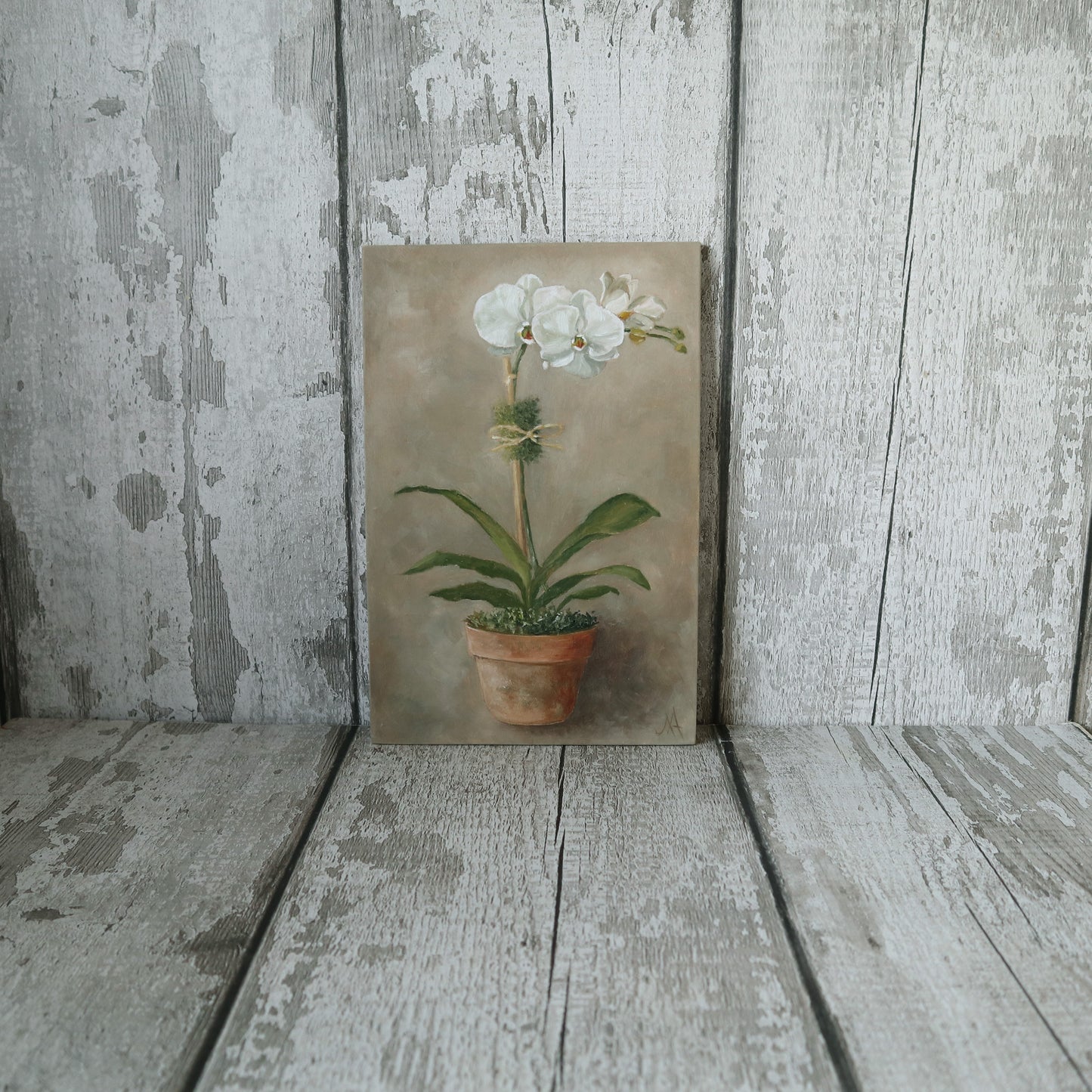 Original Oil Painting From The Potted Floral Collection 'Orchid'