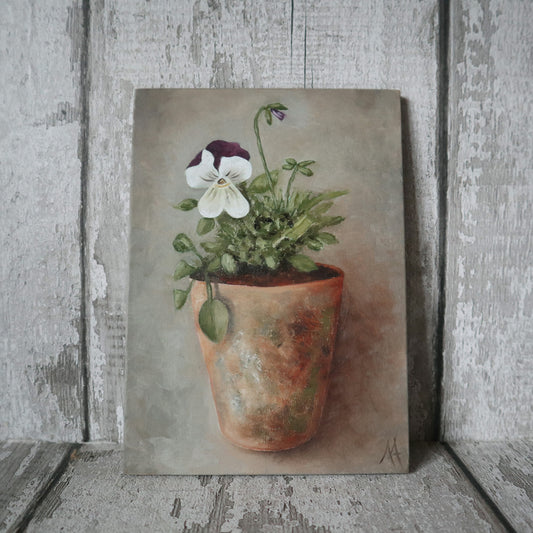 Original Oil Painting From The Potted Floral Collection 'Pansy'