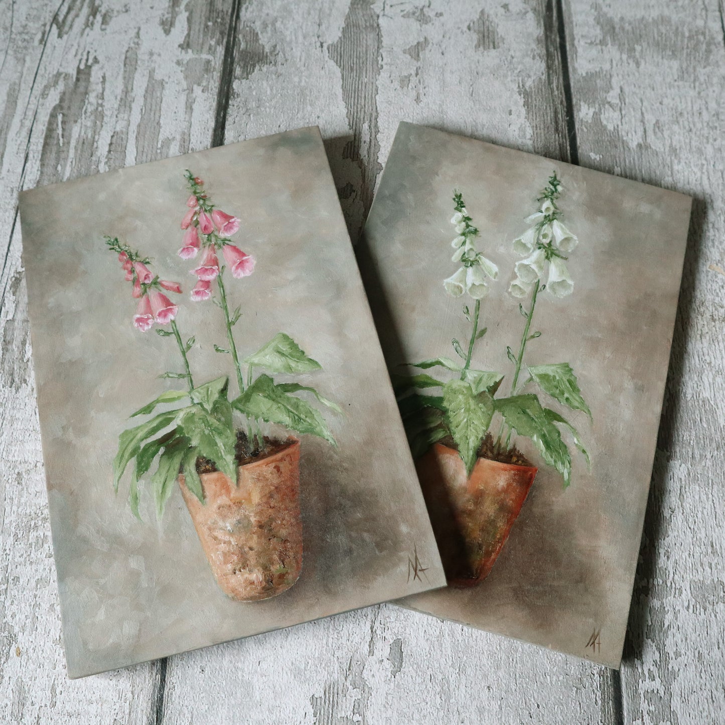 Original Oil Painting On Board From the Potted Floral Collection 'Mini PINK Foxglove'