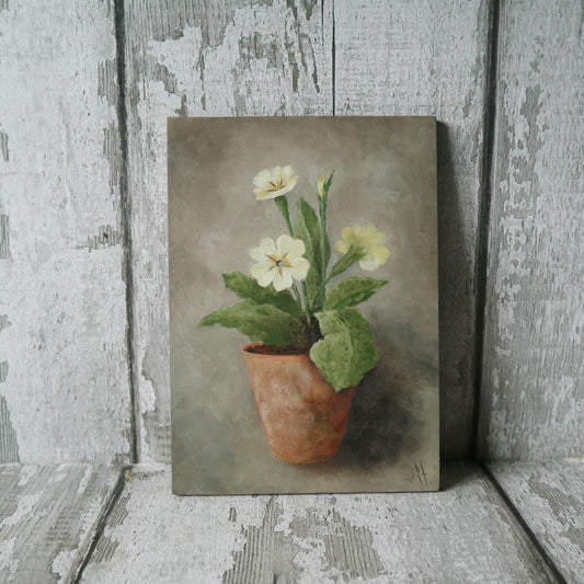 Original Oil Painting From The Potted Floral Collection ' Primroses'