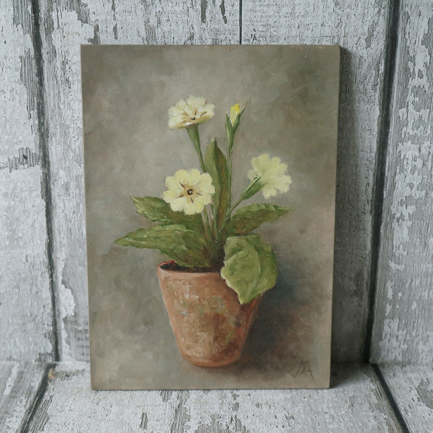 Original Oil Painting From The Potted Floral Collection ' Primroses'