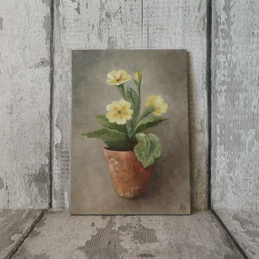 Original Oil Painting From The Potted Floral Collection ' Primroses'