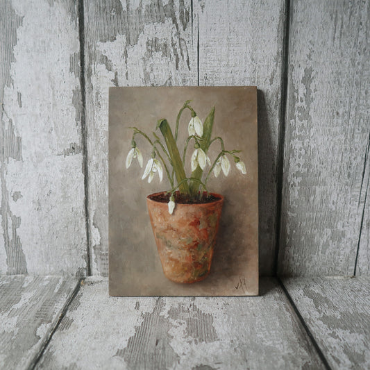 Original Oil Painting From The Potted Floral Collection 'Snowdrops' (un-framed)