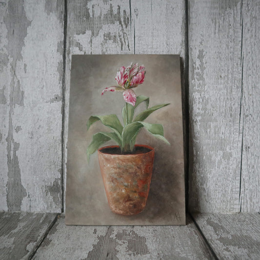 Original Oil Painting From The Potted Floral Collection 'Tulip'